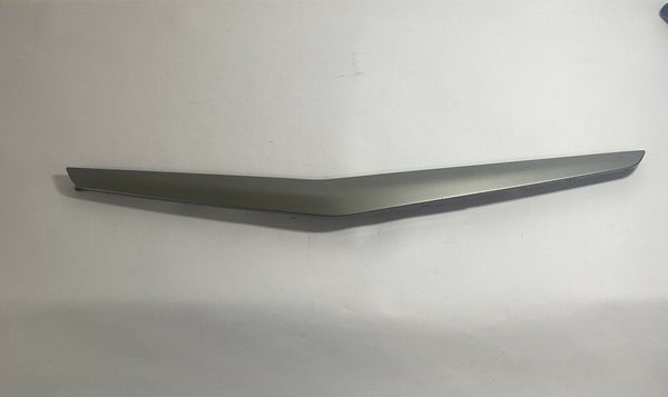 18 Ford EcoSport Driver Front Left LH Door Panel Trim Exterior Silver